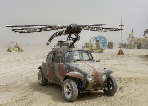 Dragonfly and Beetle - 2018-2