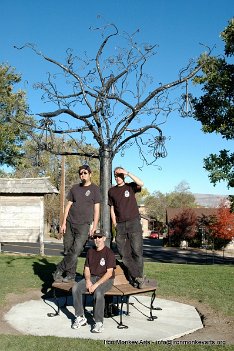 tree spire in reno (4)