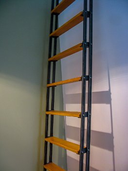 Guy Ladder - 2010-1