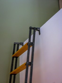 Guy Ladder - 2010-3