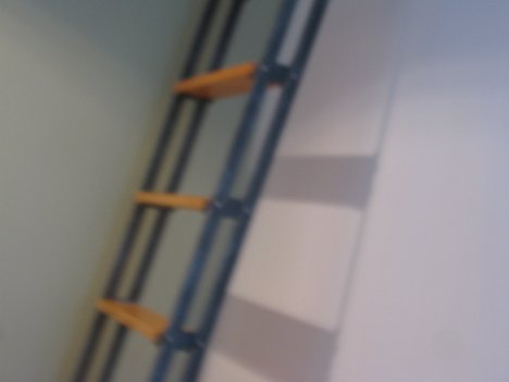 Guy Ladder - 2010-4