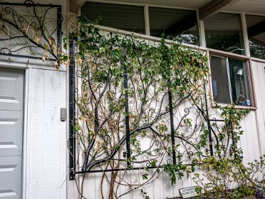 Garden Trellises, arbors, and other out door items.